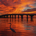 Jolley Fire Sky with Bird
