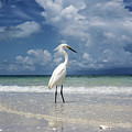 Egret Beach